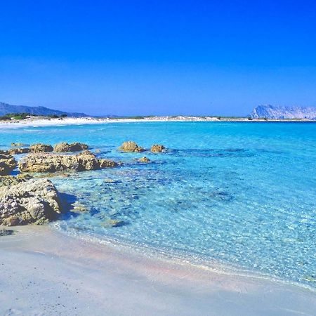 Iss Travel, Panoramic Coda Cavallo Cottages - 10 Km From San Teodoro Сан-Теодоро Экстерьер фото